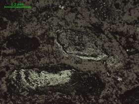 褐铁矿、钛铁矿、铁锰质