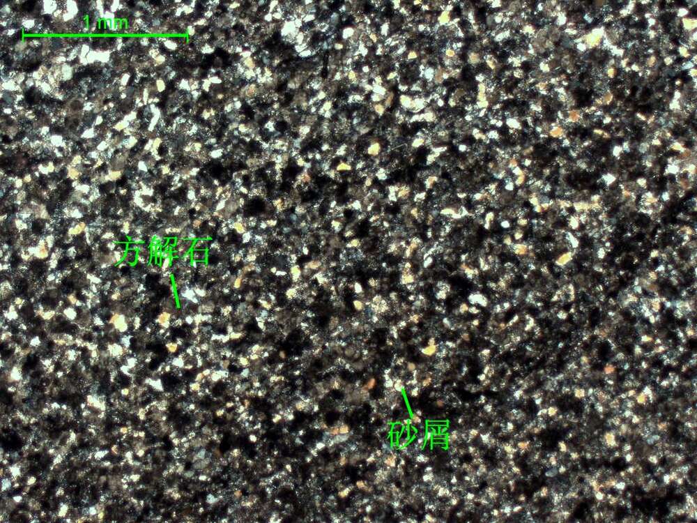 钙质长石石英细砂岩