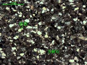 灰色细砂质细晶灰岩