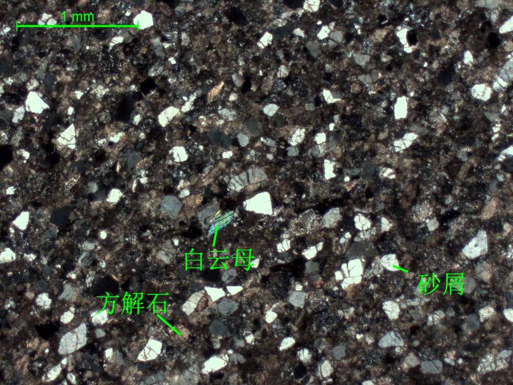 灰色细砂质细晶灰岩