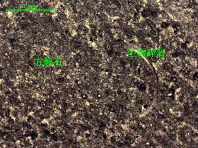 含生物屑微晶灰岩