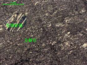 显微条带状含生物屑微晶灰岩