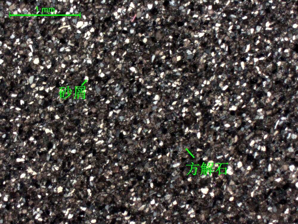 深灰色细砂质细晶灰岩