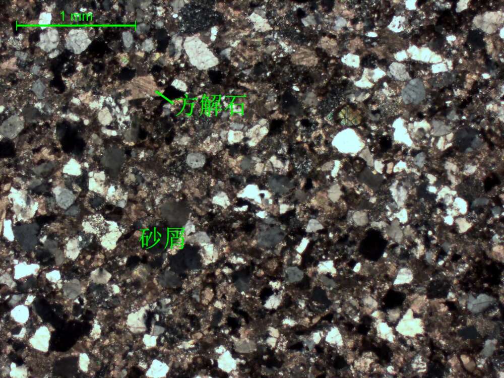 中细粒砂质细-中晶灰岩