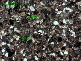 中细粒砂质细-中晶灰岩