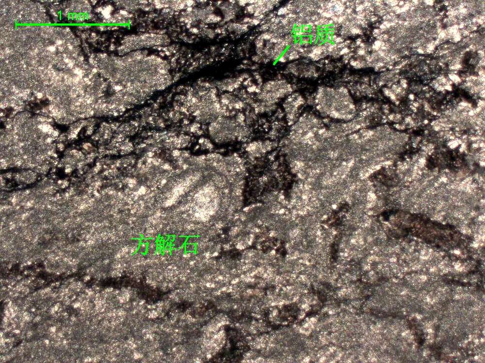 铝土矿化微晶灰岩