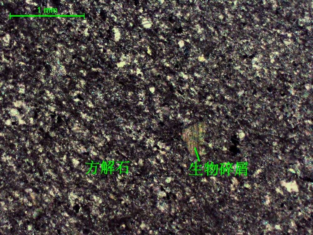 深灰色微晶灰岩