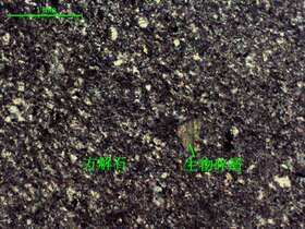 深灰色微晶灰岩