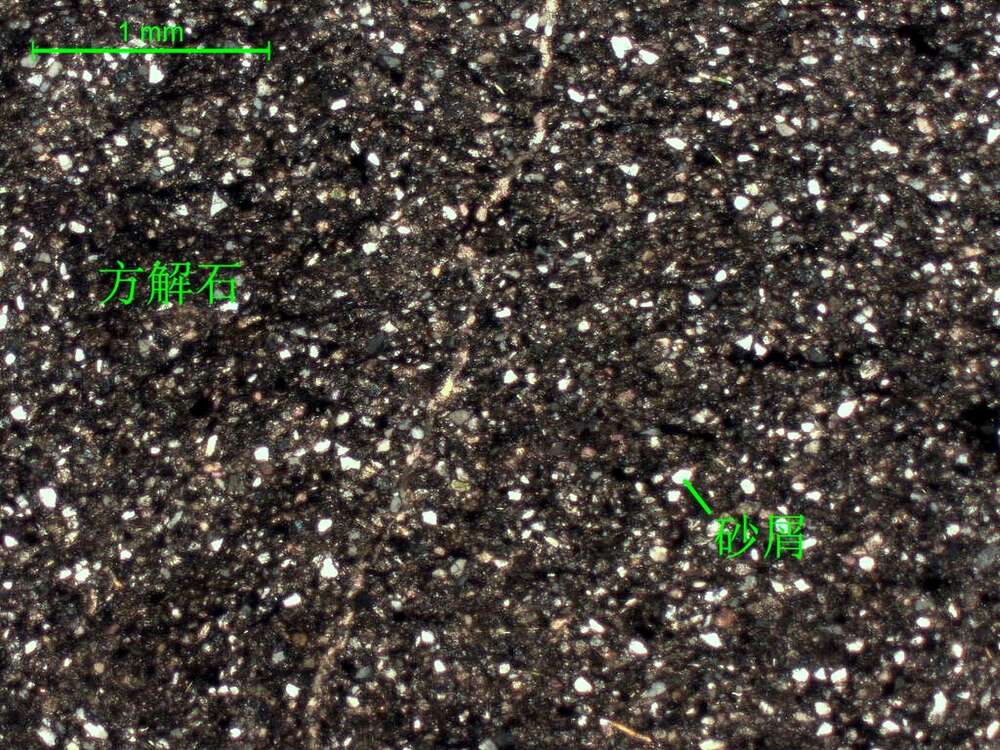 含细砂质粉晶-细晶灰岩