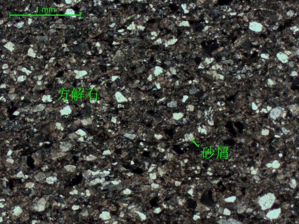 细-中砂质中细晶灰岩