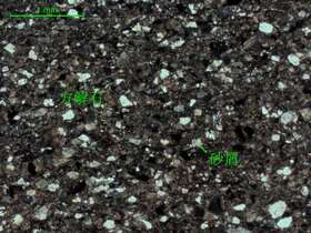 细-中砂质中细晶灰岩