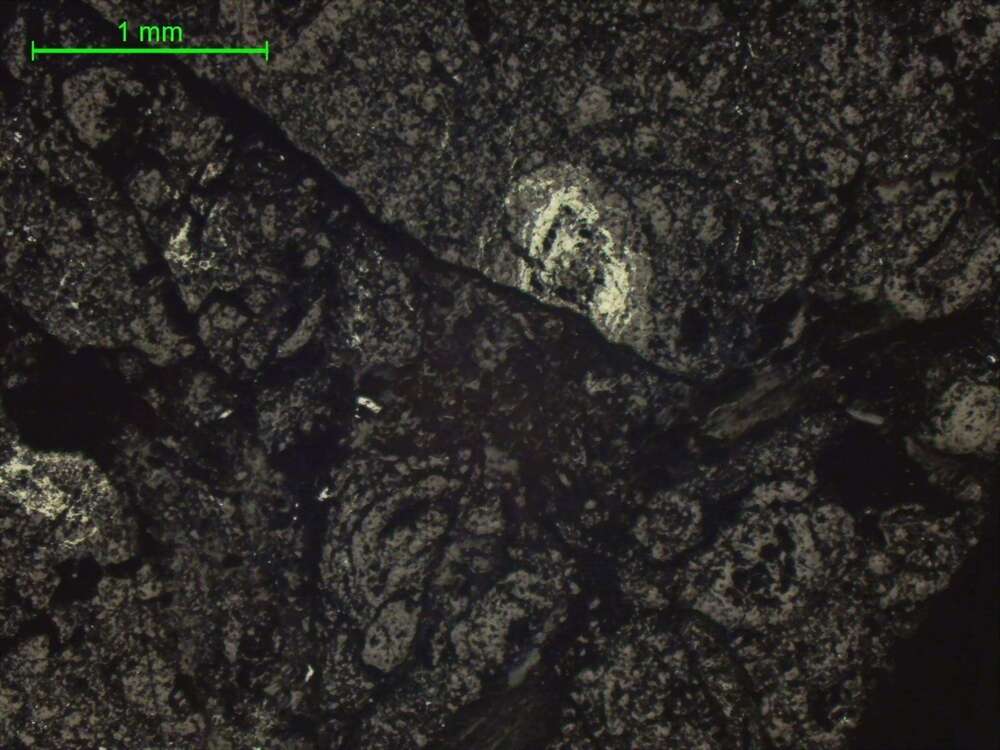 褐铁矿、钛铁矿等