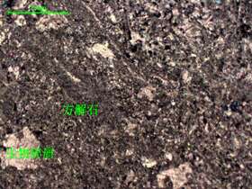 含生物屑微晶灰岩