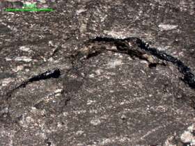 铝土矿化微晶灰岩