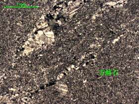 灰色细-粉晶灰岩