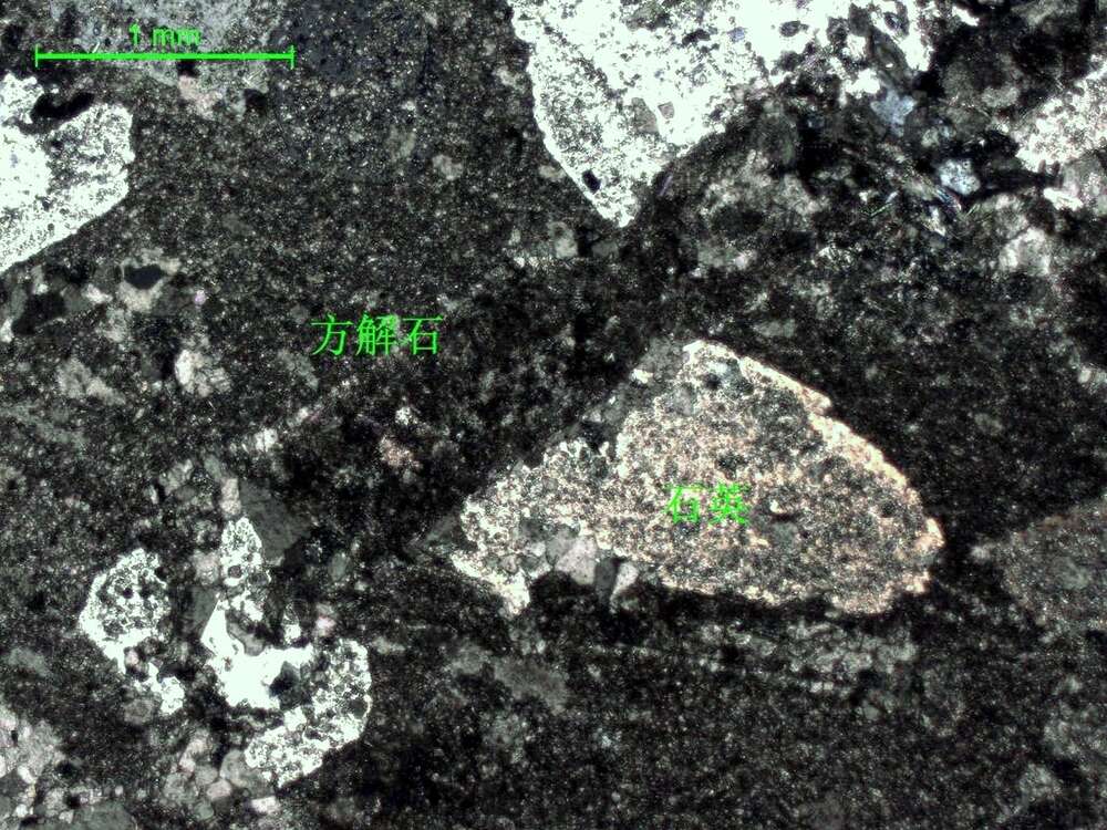 碳酸盐化微-细晶灰岩
