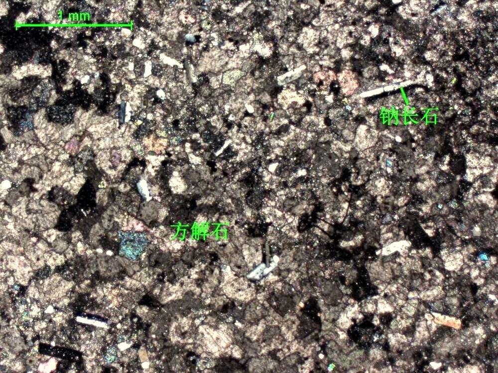 含钠长石大理岩