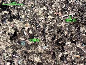 含钠长石大理岩