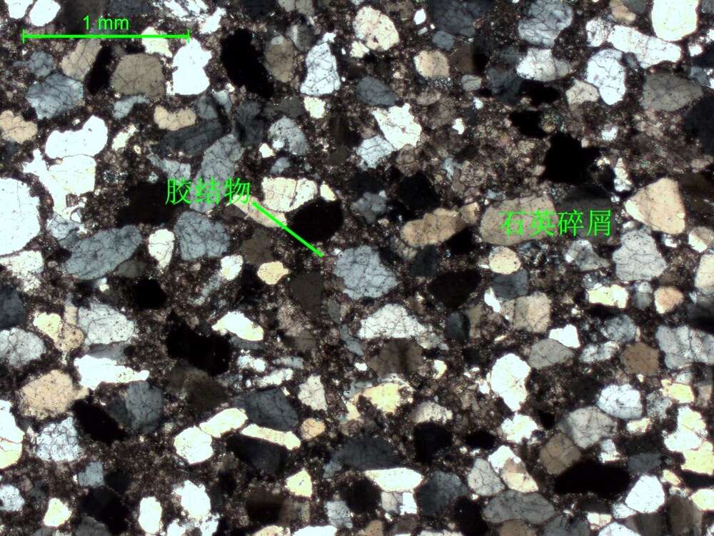 白云质中-细粒岩屑石英砂岩