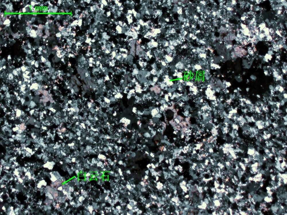 白云石化变质长石石英粉-细砂岩