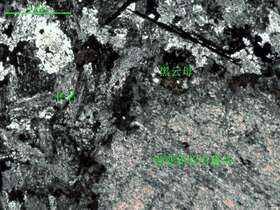 强蚀变闪长玢岩