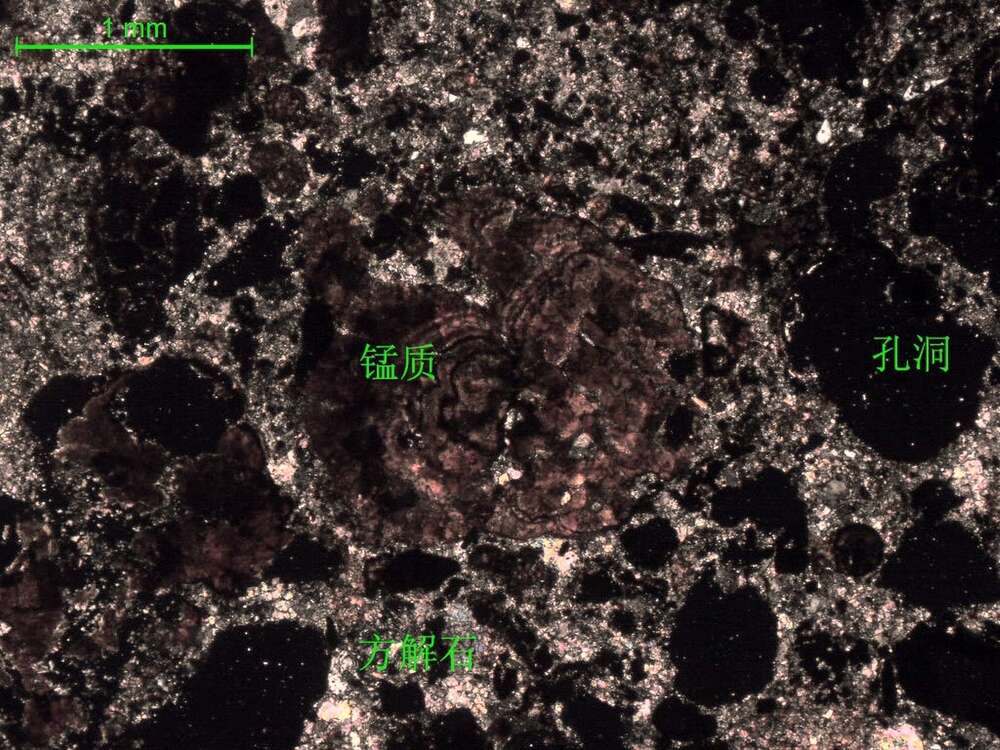 （锰矿化）微-细晶灰岩