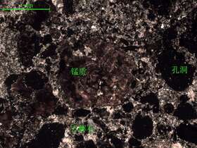 （锰矿化）微-细晶灰岩