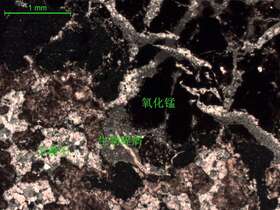 （锰矿化）含砂屑微-细晶灰岩