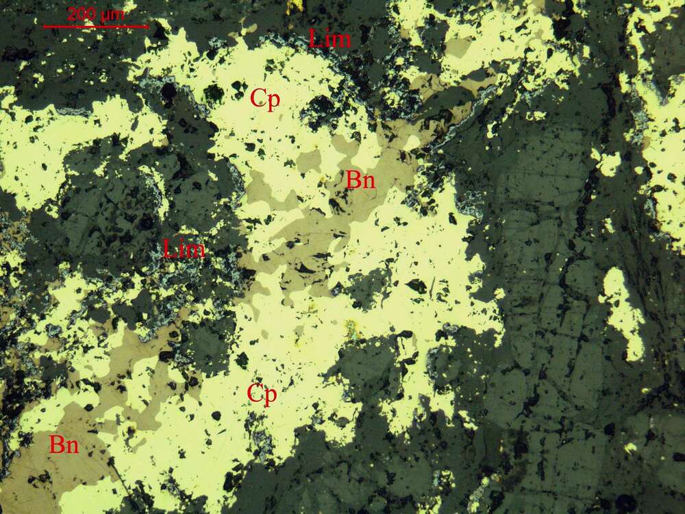 斑铜矿、褐铁矿化黄铜矿矿石