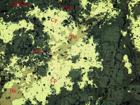 斑铜矿、褐铁矿化黄铜矿矿石