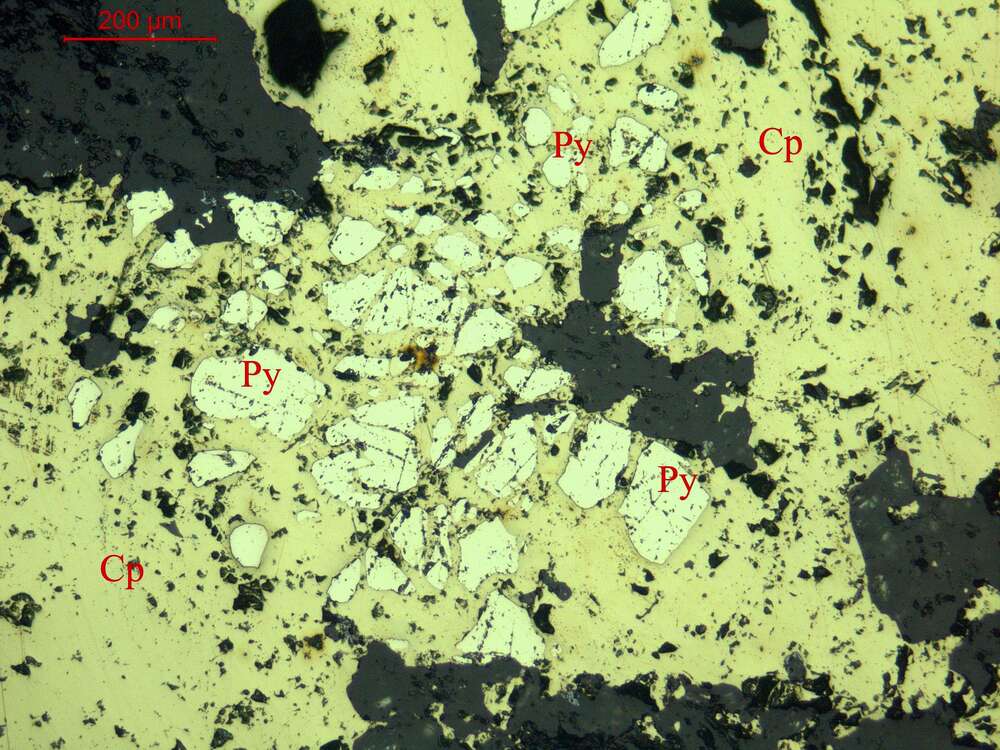 斑铜矿、黄铁矿、黄铜矿