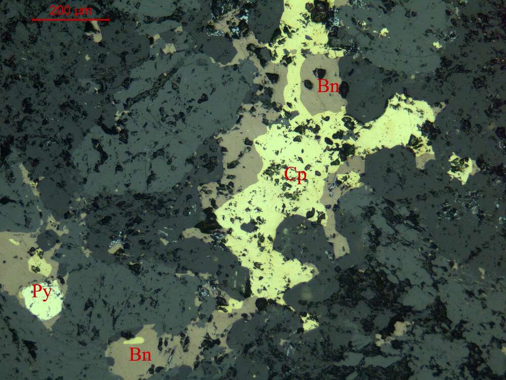 斑铜矿、黄铁矿、黄铜矿