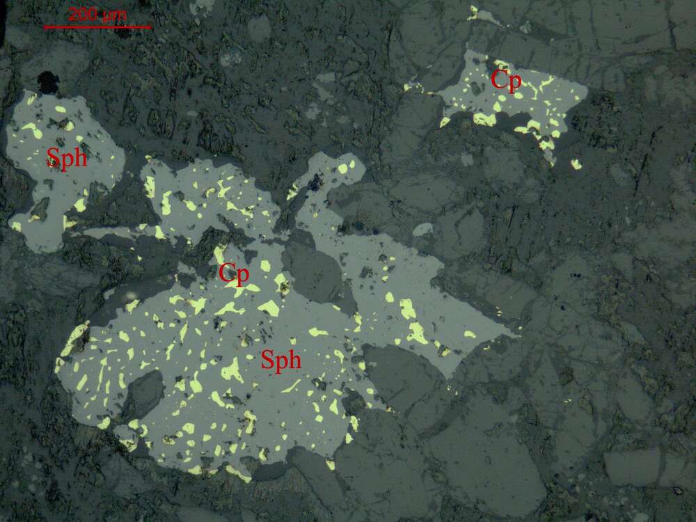 黄铁矿、斑铜矿、闪锌矿、黄铜矿