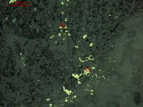 黝铜矿、黄铁矿、黄铜矿