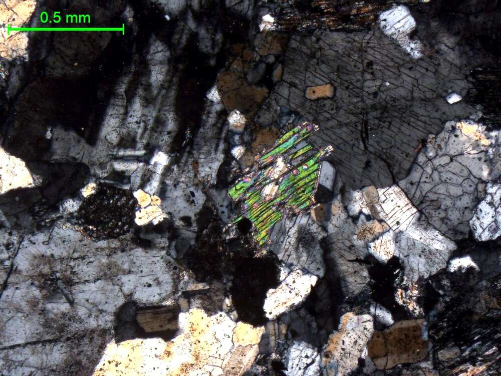 含锂辉石花岗伟晶岩