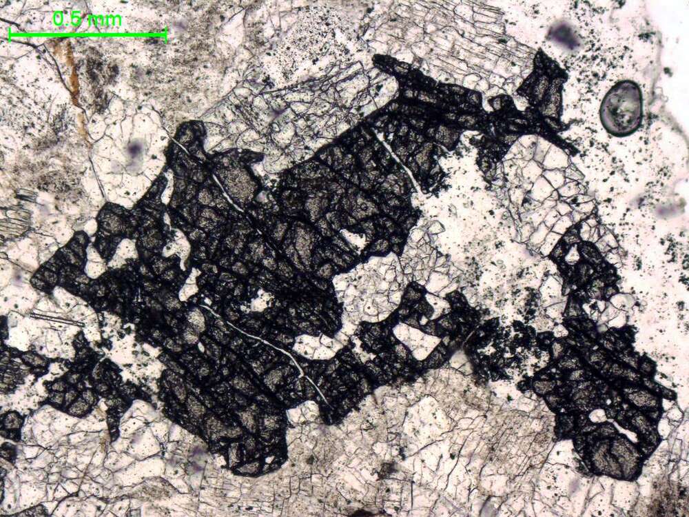 含石榴石花岗伟晶岩