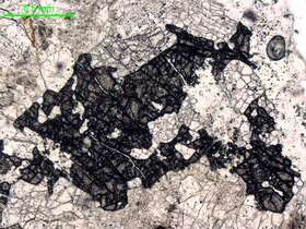 含石榴石花岗伟晶岩