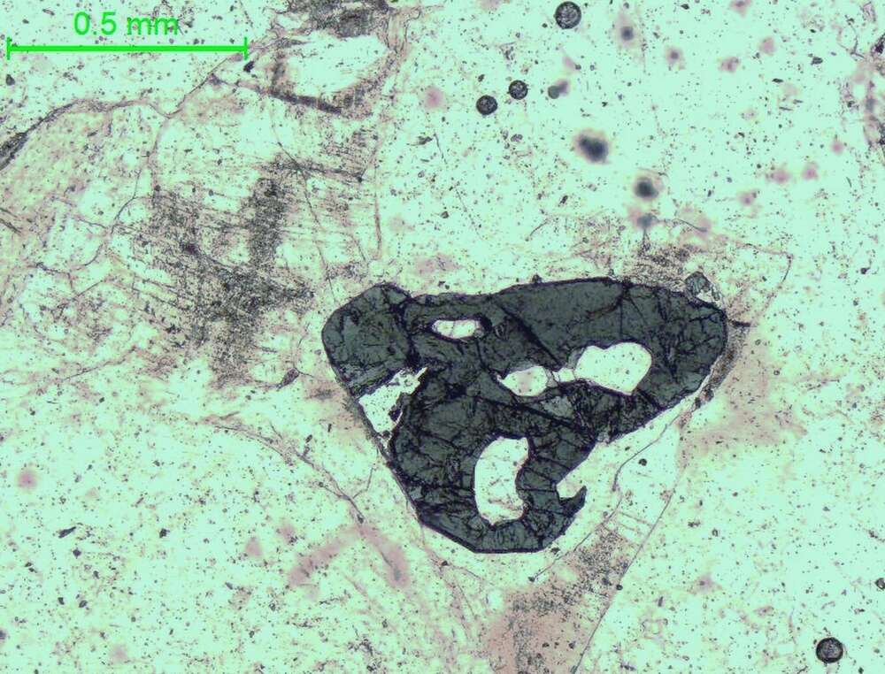 电气石-花岗伟晶岩