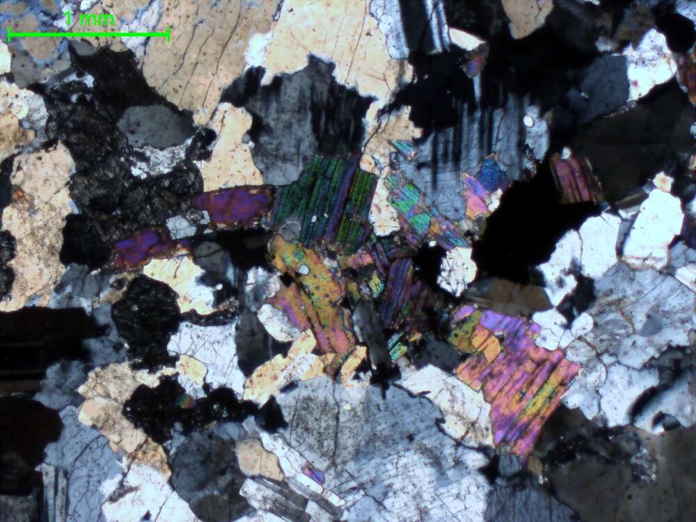 含锂辉石花岗伟晶岩