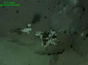 铌钽铁矿、锆石