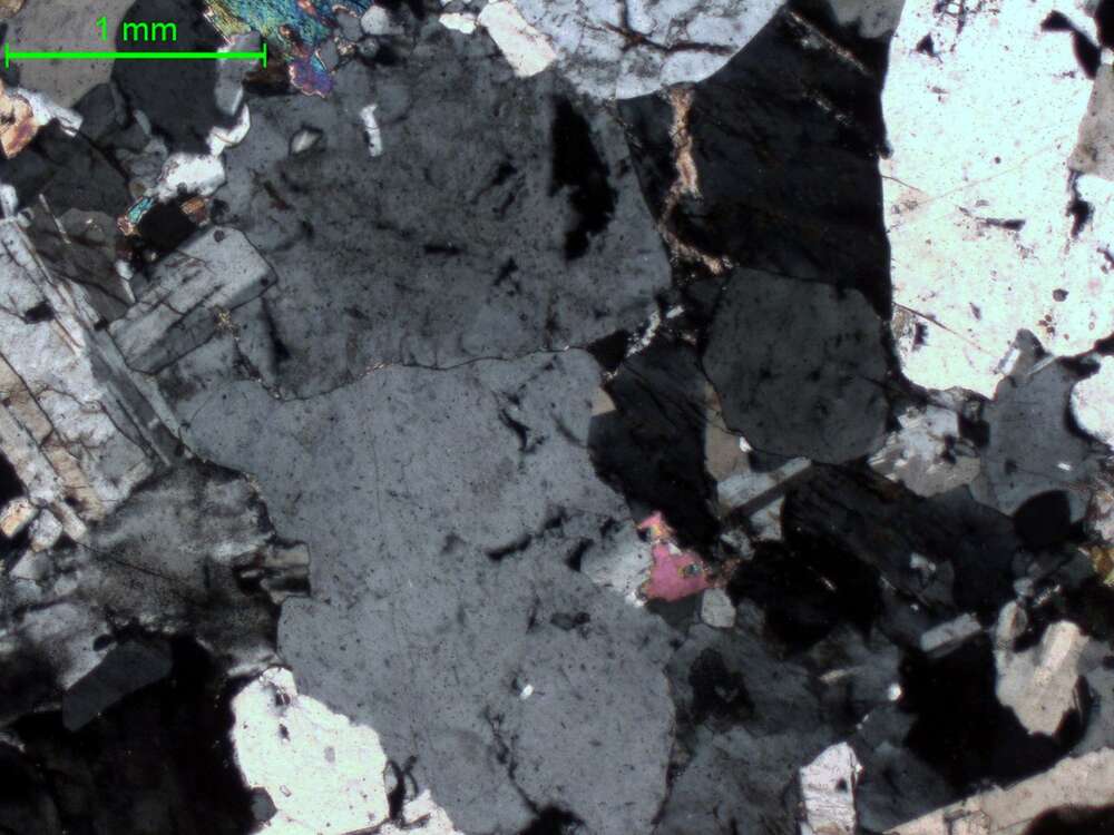 含锂云母花岗伟晶岩