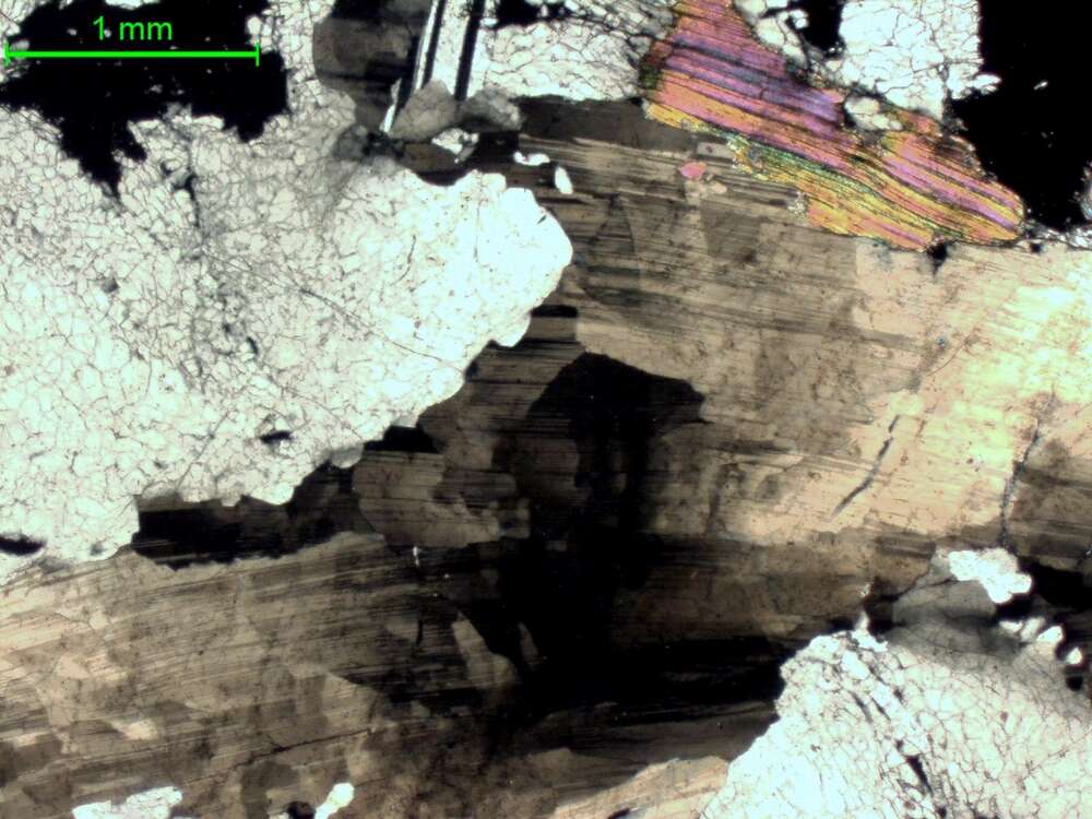 含锂云母花岗伟晶岩