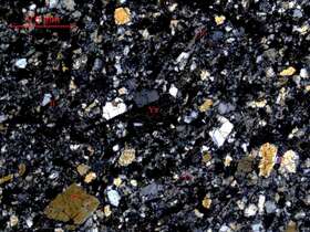 含粉砂长石岩屑细砂岩